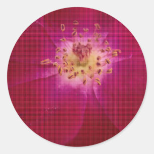 Pegatina Redonda Perfección Petal: arte de patrón Petal Rosa contro