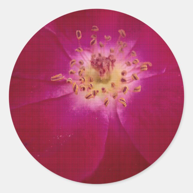 Pegatina Redonda Perfección Petal: arte de patrón Petal Rosa contro (Anverso)