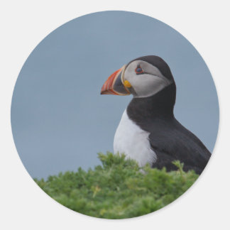 Pegatina Redonda Perfil de Puffin