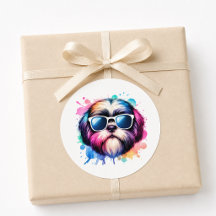 Perrito Shih Tzu Fresco con Gafas de Sol