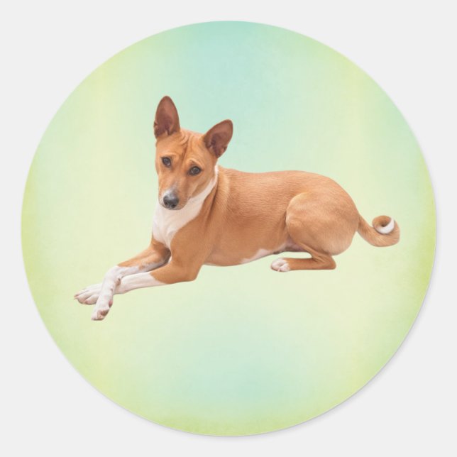 Pegatina Redonda Perro Basenji Elegante (Anverso)