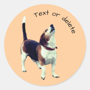 Pegatina Redonda Perro Beagle Howling Personalizado