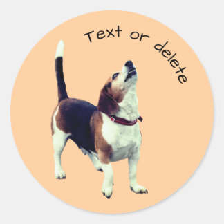 Pegatina Redonda Perro Beagle Howling Personalizado