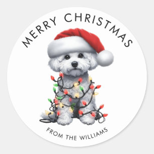 Pegatina Redonda Perro Bichon Frise Envuelto En Luces De Navidad