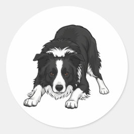 Pegatina Redonda Perro Border Collie