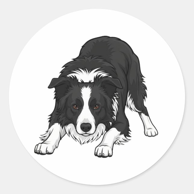 Pegatina Redonda Perro Border Collie (Anverso)