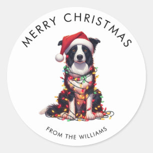 Pegatina Redonda Perro Border Collie Envuelto en Luces de Navidad