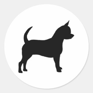 Pegatina Redonda Perro Chihuahua