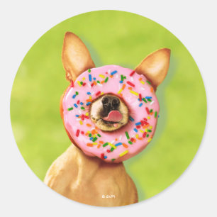 Pegatina Redonda Perro chihuahua gracioso con donut rociado en la n