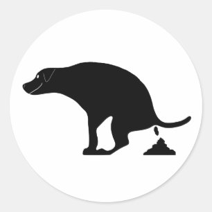 Pegatina Redonda Perro con espionaje sonriente