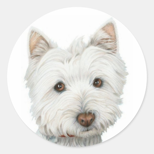 Pegatina Redonda Perro Cute Westie (Anverso)