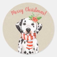 Perro dálmata de Navidad País Costumbre festiva