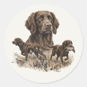 Pegatina Redonda Perro de caza Deutsch Langhaar