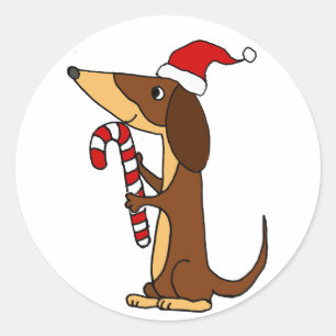 Pegatina Redonda Perro de Dachshund en Santa hat Navidad Personaliz