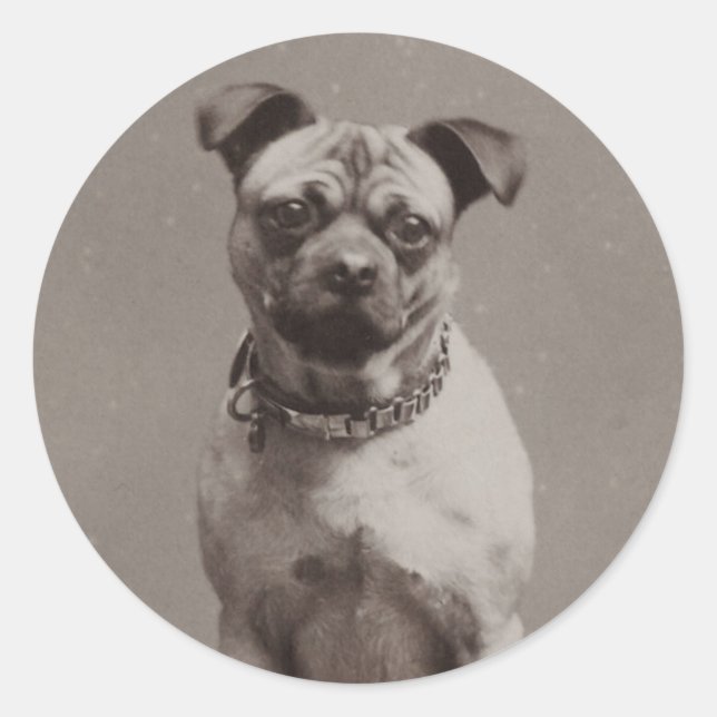 Pegatina Redonda Perro de época (Anverso)