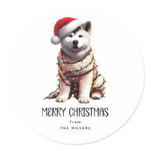 Perro de los Navidades Akita