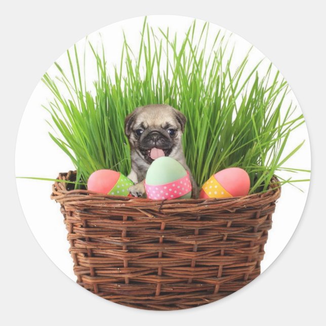 Pegatina Redonda Perro de pum de Pascua (Anverso)