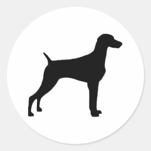 Pegatina Redonda Perro de Weimaraner (en negro)