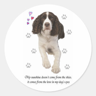 Pegatina Redonda Perro español Springer inglés