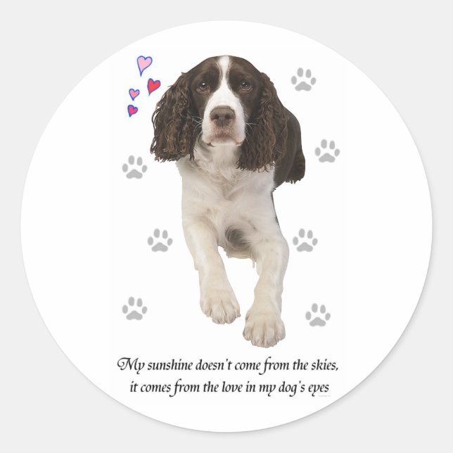Pegatina Redonda Perro español Springer inglés (Anverso)