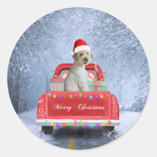 Pegatina Redonda Perro goldendoodle en Nieve sentado en Navidades