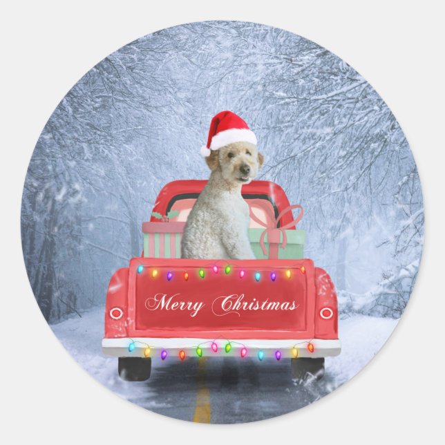Pegatina Redonda Perro goldendoodle en Nieve sentado en Navidades (Anverso)