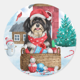 Pegatina Redonda Perro Havanés en casa de Navidad con nieve