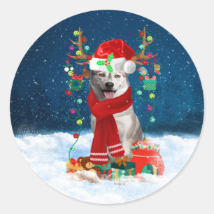 Pegatina Redonda Perro Husky siberiano con regalos de Navidades