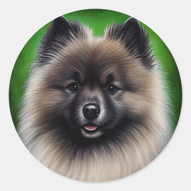Pegatina Redonda Perro Keeshond con vestido de San Patricio (Anverso)