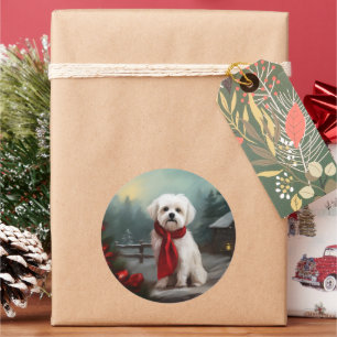 Pegatina Redonda Perro maltés en Navidad en la nieve