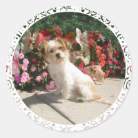 Perro Mestizo De Raza Terrier Rescatado