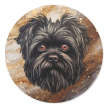 Perro mono Affenpinscher Affens Terrier
