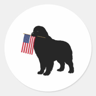Pegatina Redonda Perro negro de Newf con bandera de Estados Unidos