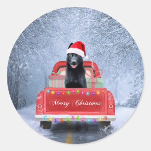 Pegatina Redonda Perro pastor alemán en nieve sentado en Navidades