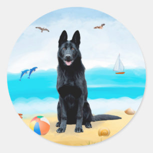 Pegatina Redonda Perro pastor alemán negro en la playa