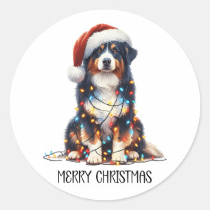 Pegatina Redonda Perro pastor australiano envuelto en luz de Navida