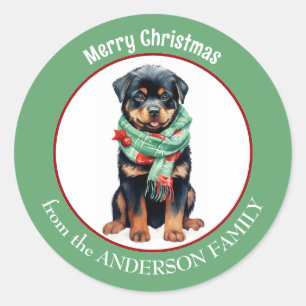 Pegatina Redonda Perro Rottweiler con bufanda de Navidades rojos y