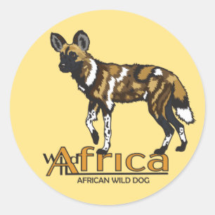 Pegatina Redonda Perro salvaje africano. África salvaje