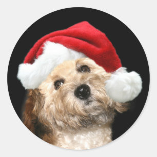 Pegatina Redonda Perro Santa