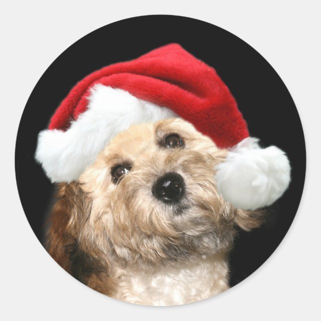 Pegatina Redonda Perro Santa (Anverso)