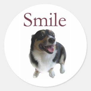 Pegatina Redonda Perro sonriente lindo   Sonrisa Feliz
