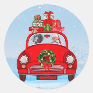 Pegatina Redonda Perro Weimaraner En Coche Con Santa Claus