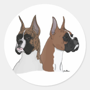 Pegatina Redonda Perros Boxer