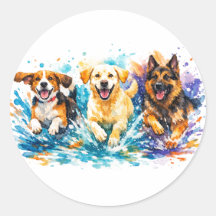 Perros chapoteando