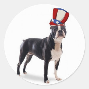 Pegatina Redonda Perros Ditzy~Pegatina original~Boston Terrier