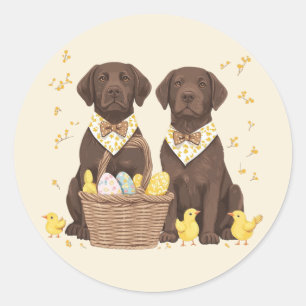 Pegatina Redonda Perros Labrador Retriever de chocolate de Pascua