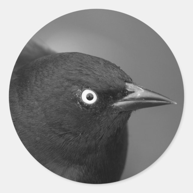 Pegatina Redonda Personaje de Alfred Hitchcock (Anverso)