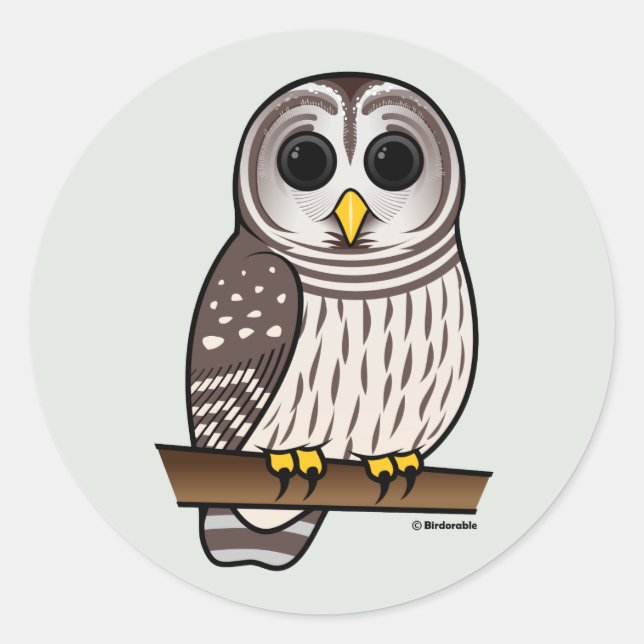 Pegatina Redonda Personalizado Barred Owl (Anverso)