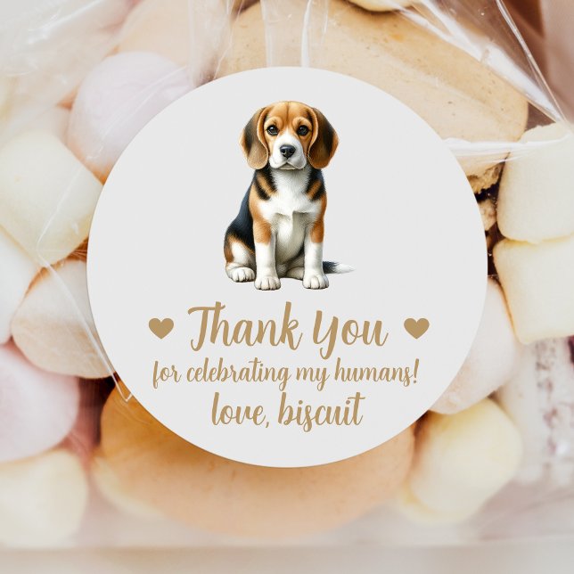 Pegatina Redonda Personalizado Beagle Dog Wedding Favor Pegatinas (Subido por el creador)