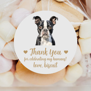 Pegatina Redonda Personalizado Boda Terrier en Boston favorece a Pe